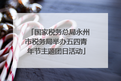 国家税务总局永州市税务局举办五四青年节主题团日活动