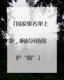 国家级名单上新，响起河南保护“曲”