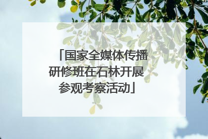 国家全媒体传播研修班在石林开展参观考察活动