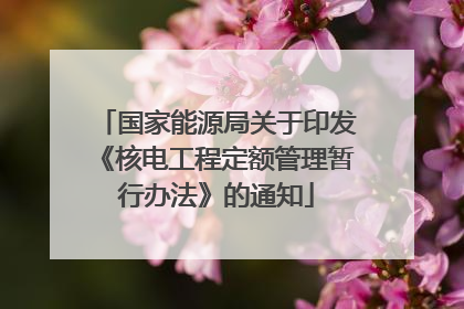 国家能源局关于印发《核电工程定额管理暂行办法》的通知