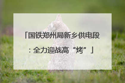 国铁郑州局新乡供电段：全力迎战高“烤”