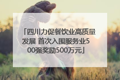 四川力促餐饮业高质量发展 首次入围服务业500强奖励500万元