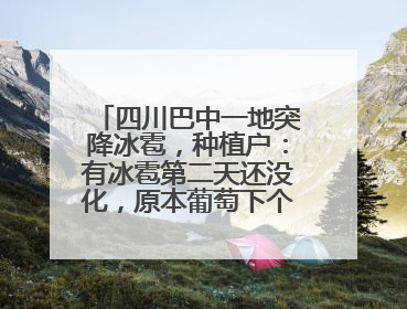 四川巴中一地突降冰雹，种植户：有冰雹第二天还没化，原本葡萄下个月上市，现在全被打落