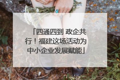 四通四到 政企共行！福建这场活动为中小企业发展赋能