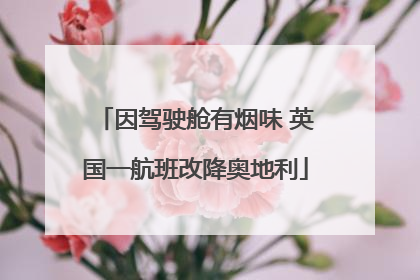 因驾驶舱有烟味 英国一航班改降奥地利