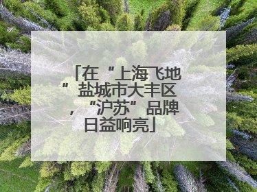 在“上海飞地”盐城市大丰区，“沪苏”品牌日益响亮