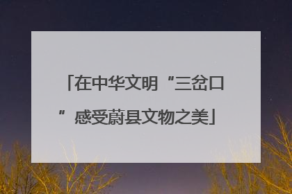在中华文明“三岔口”感受蔚县文物之美