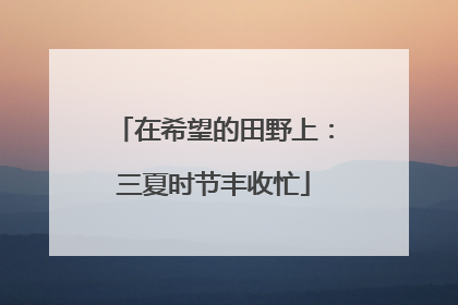 在希望的田野上：三夏时节丰收忙