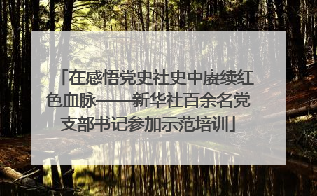 在感悟党史社史中赓续红色血脉——新华社百余名党支部书记参加示范培训