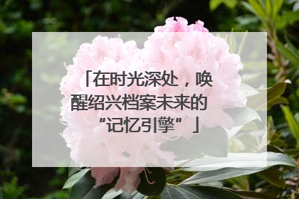 在时光深处，唤醒绍兴档案未来的“记忆引擎”