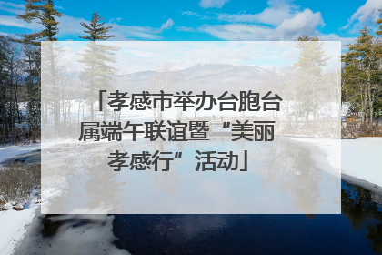 孝感市举办台胞台属端午联谊暨“美丽孝感行”活动