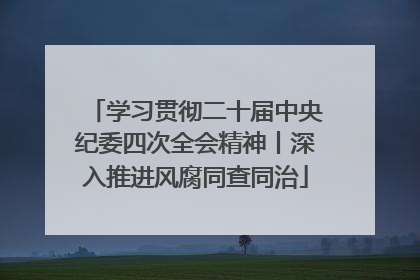 学习贯彻二十届中央纪委四次全会精神丨深入推进风腐同查同治