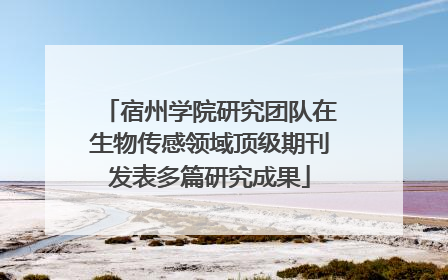 宿州学院研究团队在生物传感领域顶级期刊发表多篇研究成果