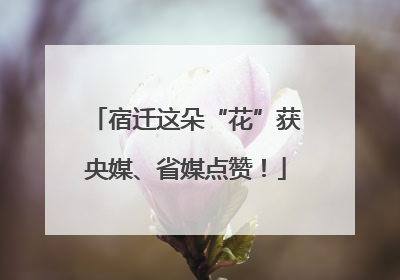 宿迁这朵“花”获央媒、省媒点赞！