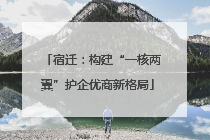 宿迁：构建“一核两翼”护企优商新格局