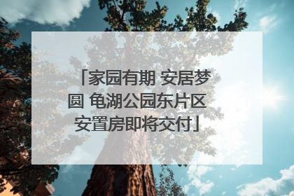 家园有期 安居梦圆 龟湖公园东片区安置房即将交付