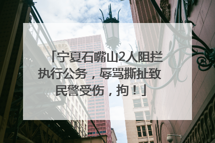 宁夏石嘴山2人阻拦执行公务，辱骂撕扯致民警受伤，拘！