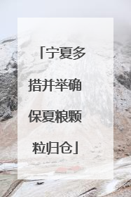 宁夏多措并举确保夏粮颗粒归仓