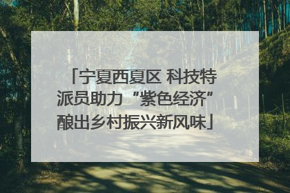 宁夏西夏区 科技特派员助力“紫色经济”酿出乡村振兴新风味