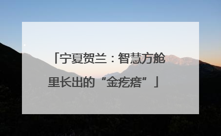 宁夏贺兰：智慧方舱里长出的“金疙瘩”