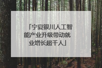 宁夏银川人工智能产业升级带动就业增长超千人