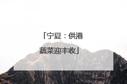 宁夏：供港蔬菜迎丰收