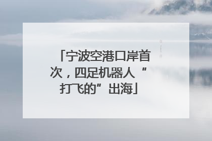 宁波空港口岸首次，四足机器人“打飞的”出海