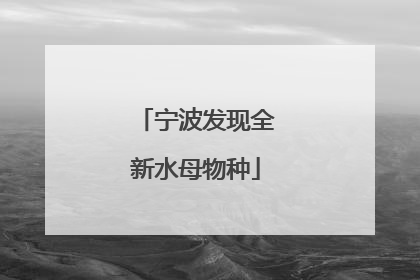 宁波发现全新水母物种