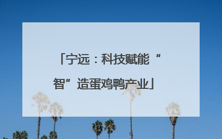 宁远：科技赋能“智”造蛋鸡鸭产业