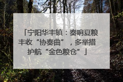 宁阳华丰镇：奏响夏粮丰收“协奏曲”，多举措护航“金色粮仓”