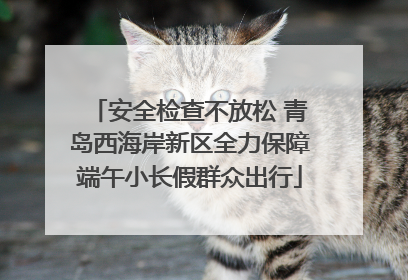 安全检查不放松 青岛西海岸新区全力保障端午小长假群众出行