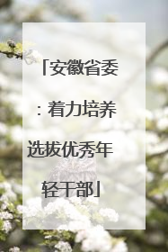 安徽省委：着力培养选拔优秀年轻干部