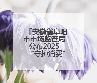 安徽省阜阳市市场监管局公布2025“守护消费”铁拳行动第一批典型案例