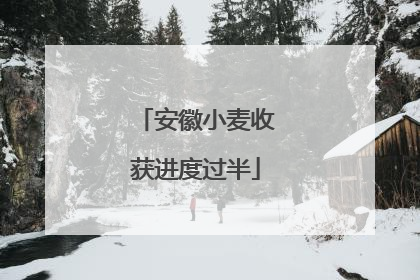 安徽小麦收获进度过半