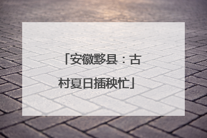 安徽黟县：古村夏日插秧忙