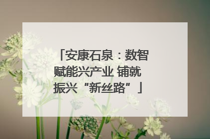 安康石泉：数智赋能兴产业 铺就振兴“新丝路”
