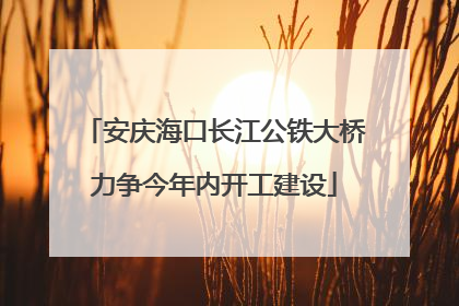 安庆海口长江公铁大桥力争今年内开工建设