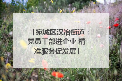 宛城区汉冶街道：党员干部进企业 精准服务促发展