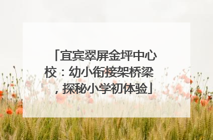 宜宾翠屏金坪中心校：幼小衔接架桥梁，探秘小学初体验