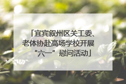 宜宾叙州区关工委、老体协赴高场学校开展“六一”慰问活动