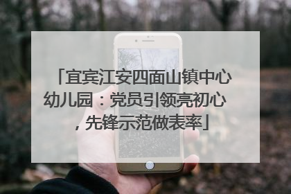 宜宾江安四面山镇中心幼儿园：党员引领亮初心，先锋示范做表率
