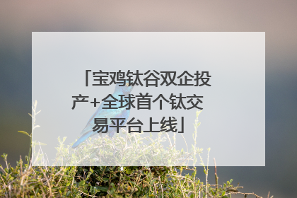 宝鸡钛谷双企投产+全球首个钛交易平台上线