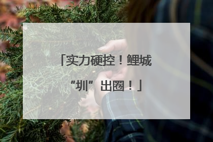 实力硬控！鲤城“圳”出圈！