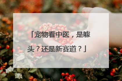宠物看中医，是噱头？还是新赛道？