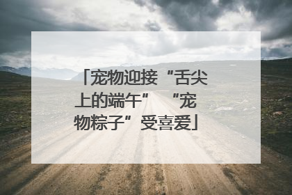 宠物迎接“舌尖上的端午” “宠物粽子”受喜爱