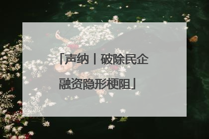 声纳丨破除民企融资隐形梗阻