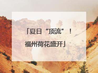 夏日“顶流”！福州荷花盛开