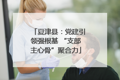 夏津县：党建引领强根基 “支部主心骨”聚合力