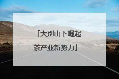 大别山下崛起茶产业新势力