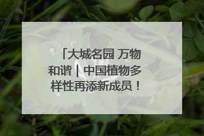大城名园 万物和谐｜中国植物多样性再添新成员！它只在西藏墨脱